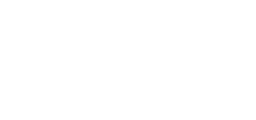 visy